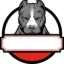 dog_red
